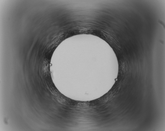 X0000103940914200809191144
