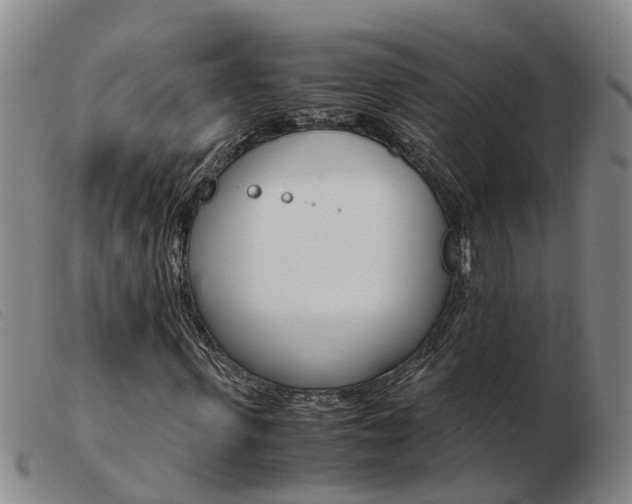 X0000103940915200809191144