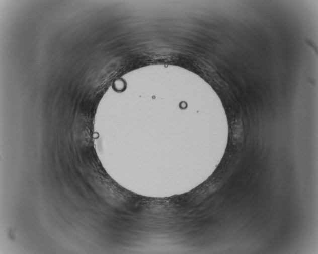 X0000103940916200809191144