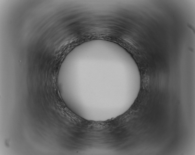 X0000103940917200809191144