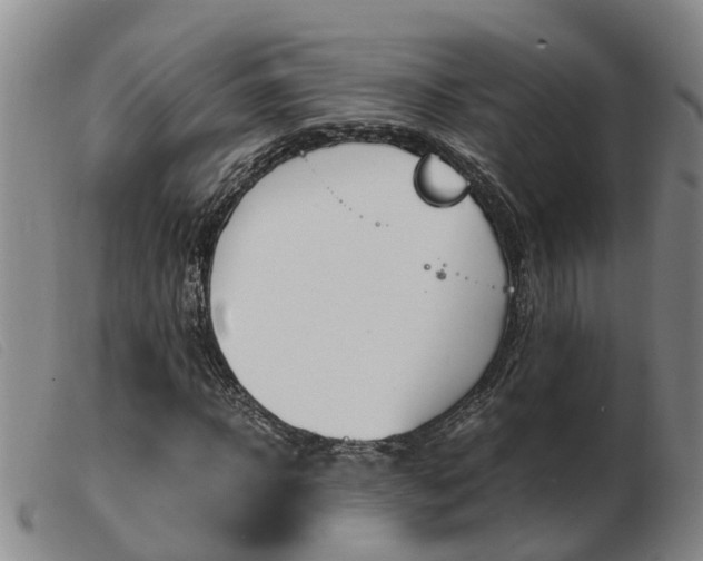 X0000103940918200809191144