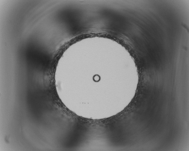 X0000103940920200809191144