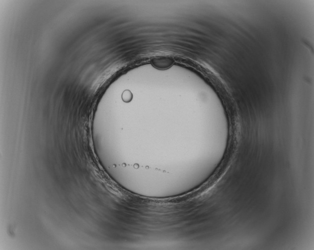 X0000103940921200809191144
