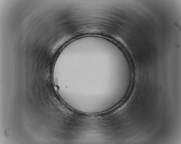 X0000103940922200809191144