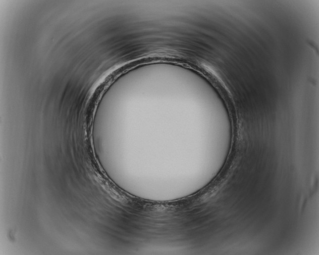 X0000103940923200809191144