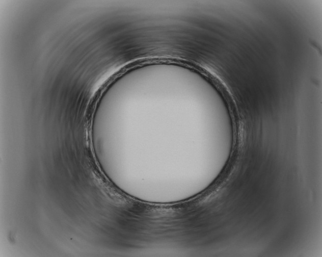 X0000103940925200809191144