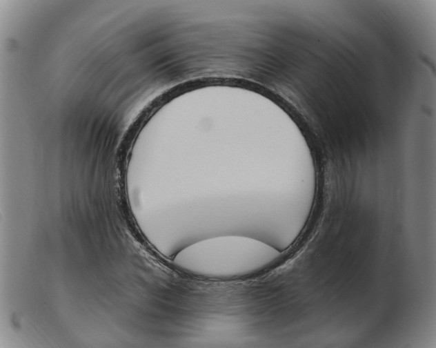 X0000103940926200809191144