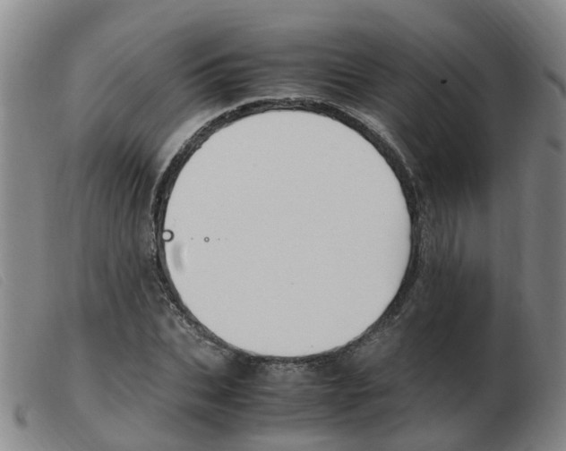 X0000103940927200809191144