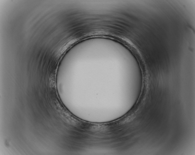 X0000103940929200809191144