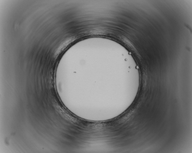 X0000103940930200809191144