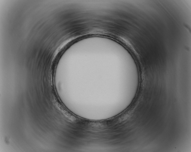 X0000103940931200809191144