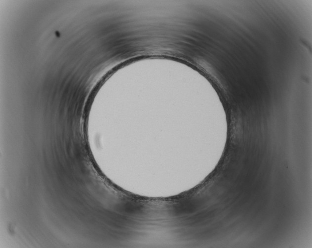X0000103940932200809191144