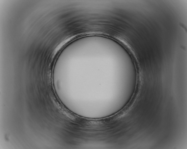 X0000103940933200809191144