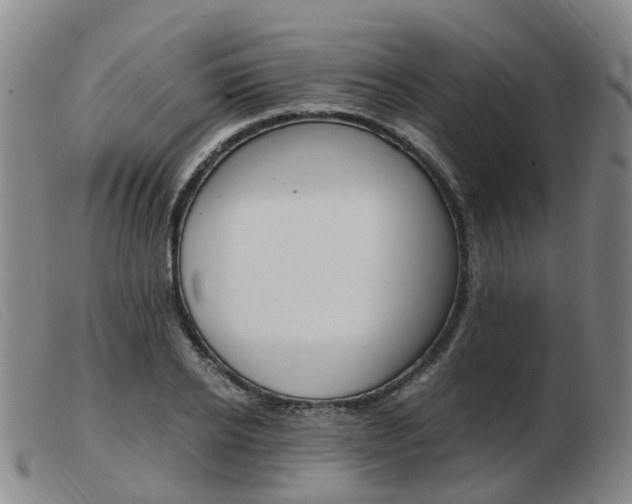 X0000103940934200809191144