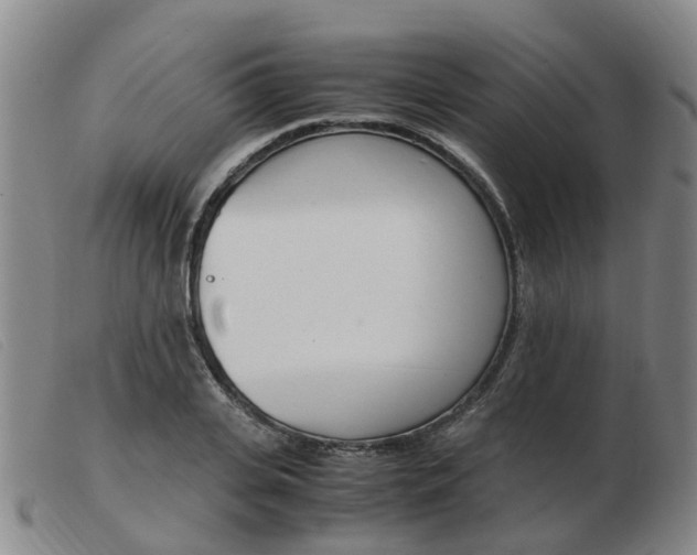 X0000103940935200809191144