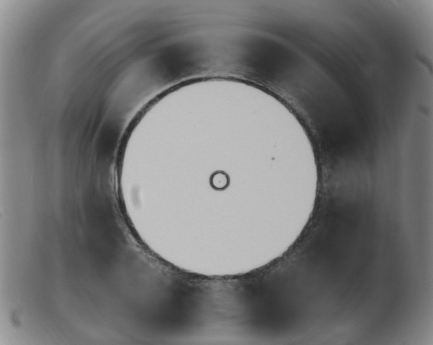 X0000103940936200809191144