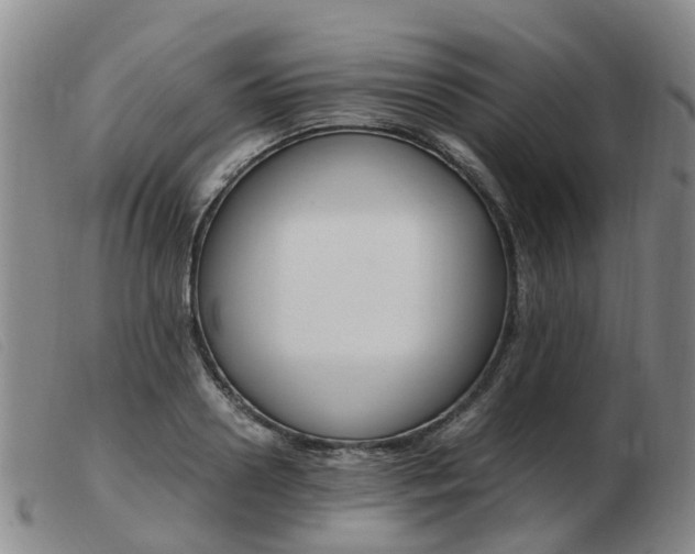 X0000103940938200809191144