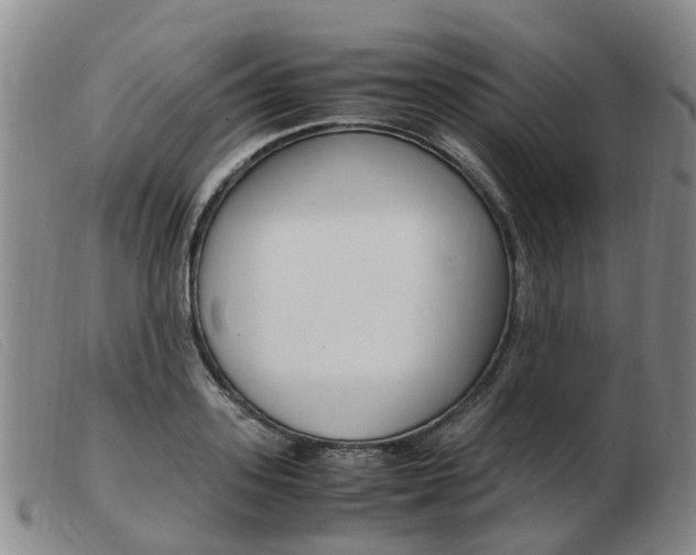 X0000103940939200809191144