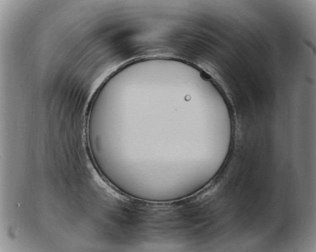 X0000103940941200809191144