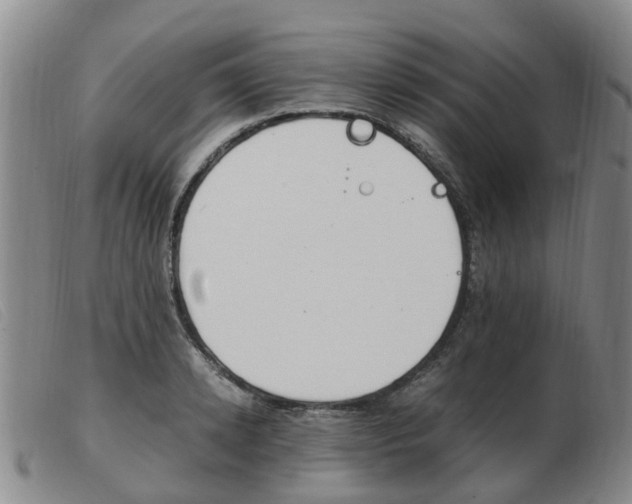 X0000103940942200809191144