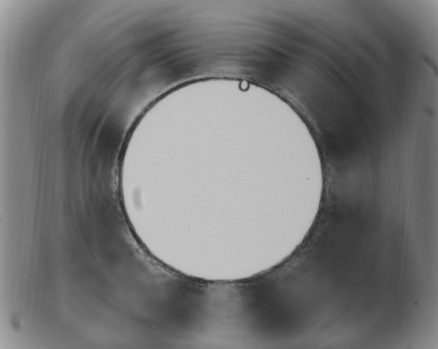 X0000103940944200809191145