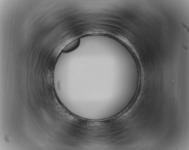 X0000103940945200809191145
