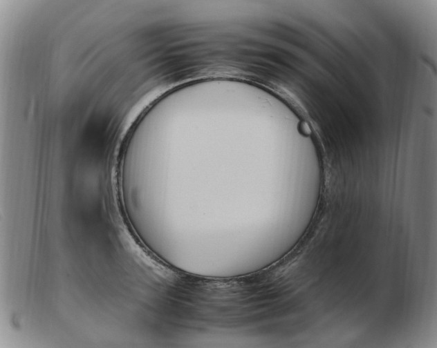 X0000103940947200809191145