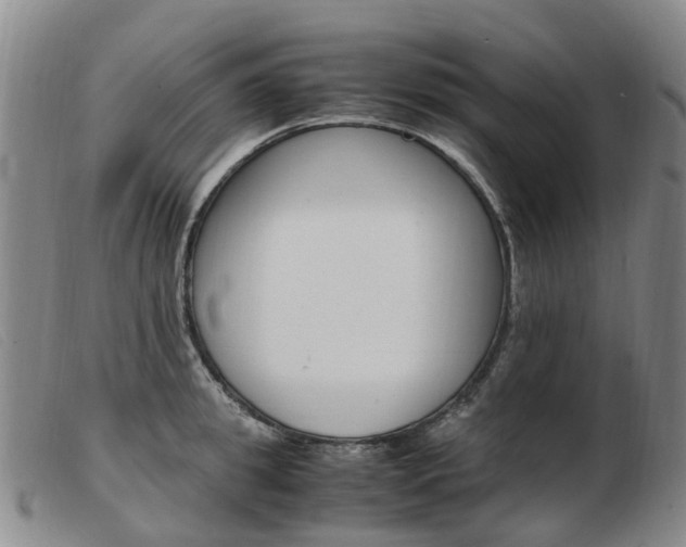 X0000103940949200809191145