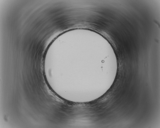 X0000103940950200809191145