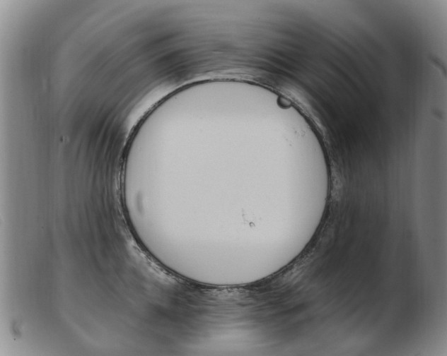 X0000103940952200809191145