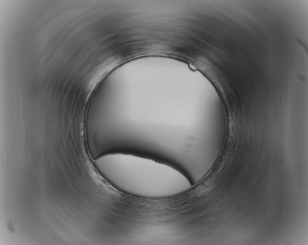 X0000103940954200809191145