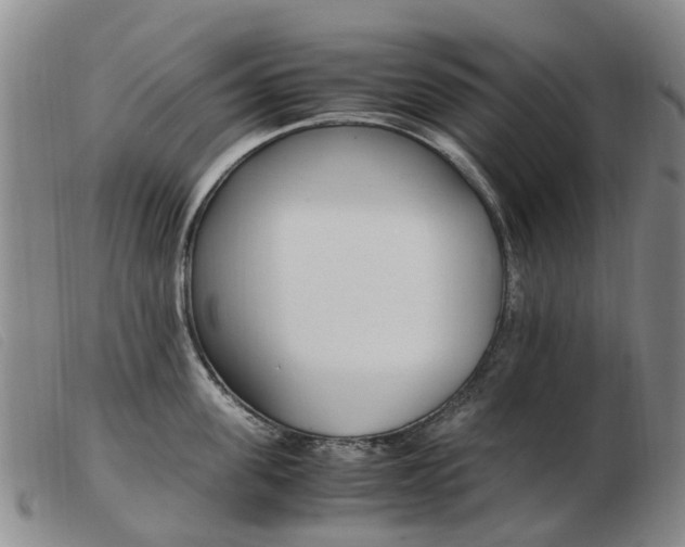 X0000103940955200809191145