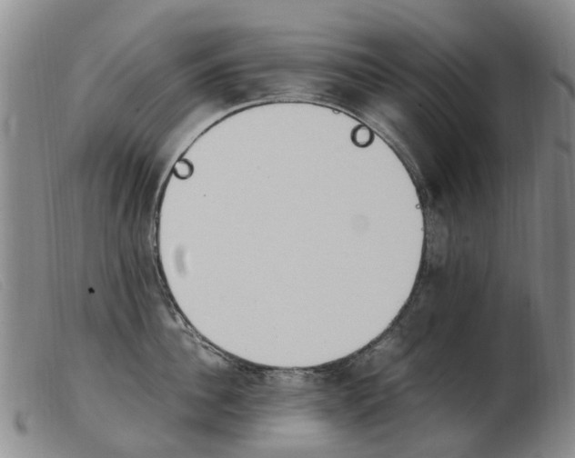 X0000103940956200809191145