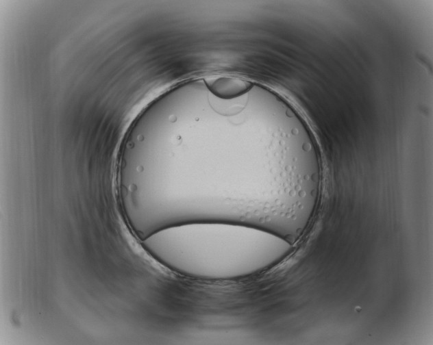 X0000103940957200809191145