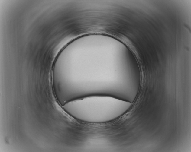 X0000103940958200809191145