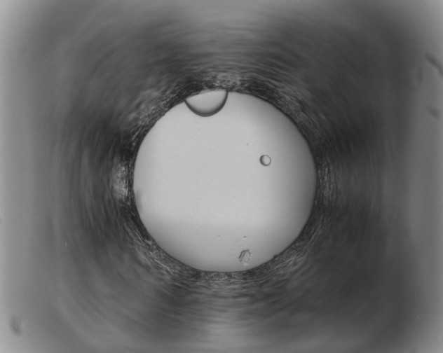 X0000103940962200809191144