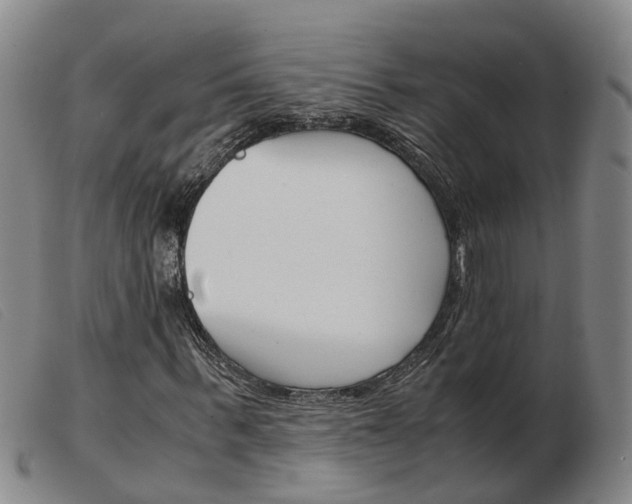 X0000103940963200809191144