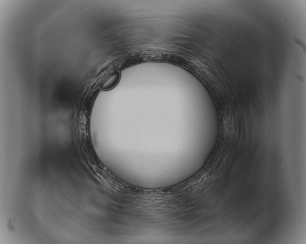 X0000103940964200809191144