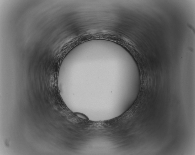 X0000103940966200809191144