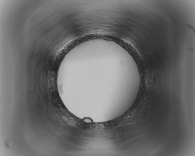 X0000103940968200809191144