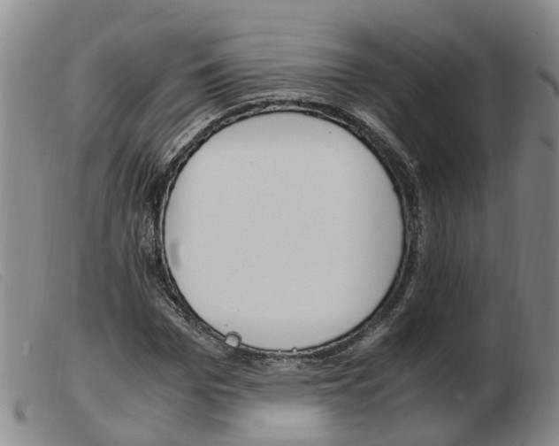 X0000103940969200809191144