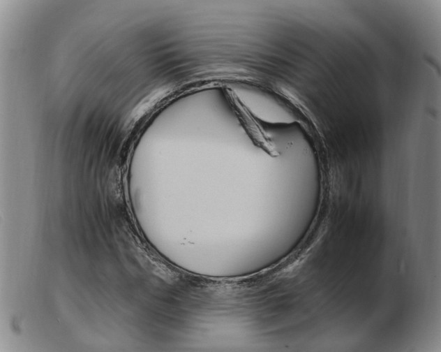 X0000103940970200809191144