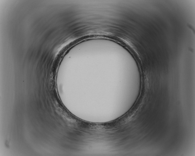 X0000103940971200809191144