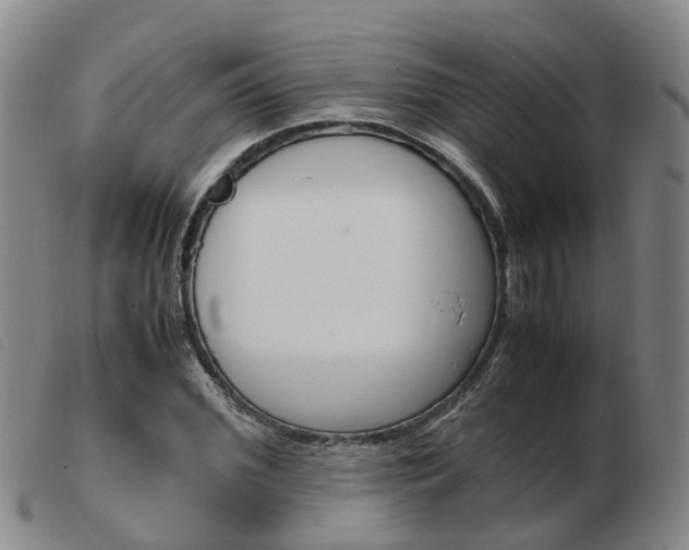 X0000103940972200809191144