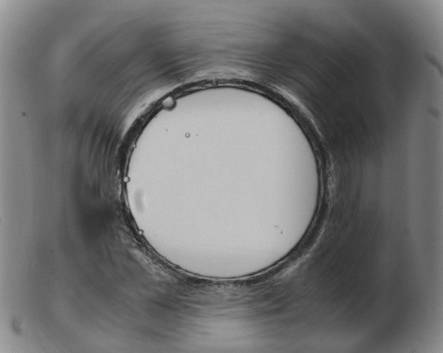 X0000103940973200809191144
