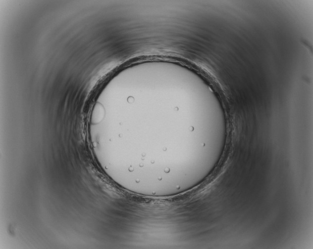 X0000103940974200809191144