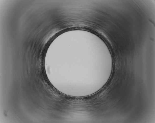 X0000103940975200809191144