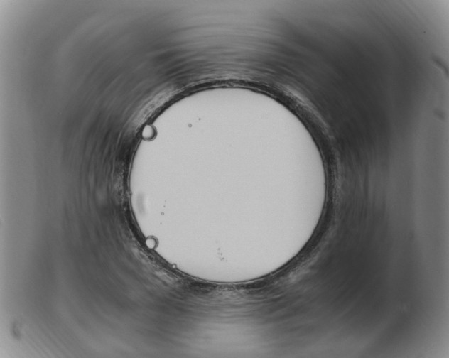 X0000103940977200809191144