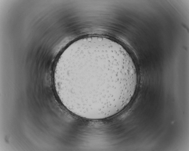 X0000103940978200809191144