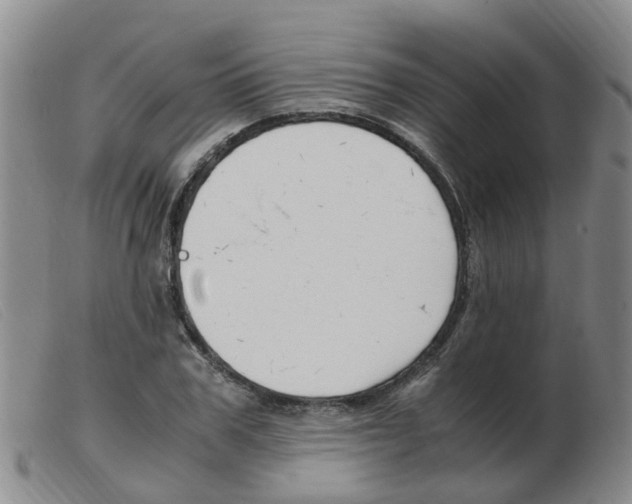 X0000103940979200809191144